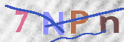 Kontrolní text