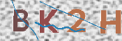 Kontrolní text