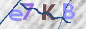 Kontrolní text