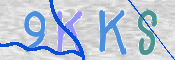 Kontrolní text