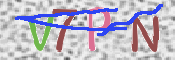 Kontrolní text