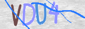 Kontrolní text