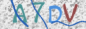 Kontrolní text