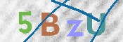 Kontrolní text