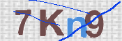Kontrolní text